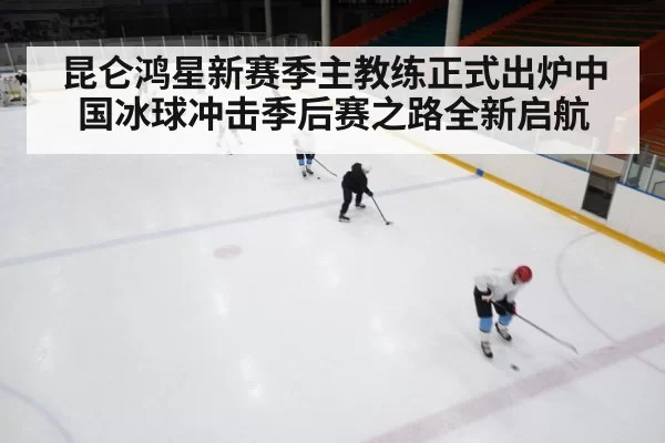 ice hockey training